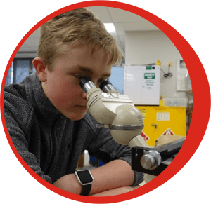 Child Viewing Microscope