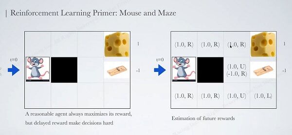 Professor Yang demonstrated  AI to Students